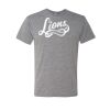 Triblend T-Shirt Thumbnail