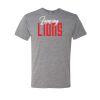 Triblend T-Shirt Thumbnail